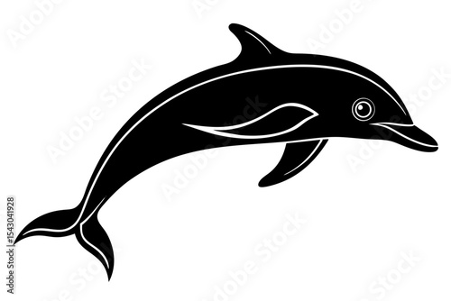 dolphin isolated on white background