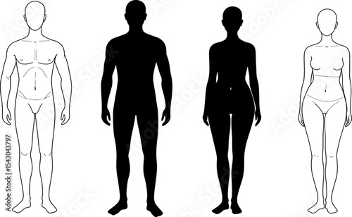 Human Body Silhouettes & Outlines: Male & Female Anatomy