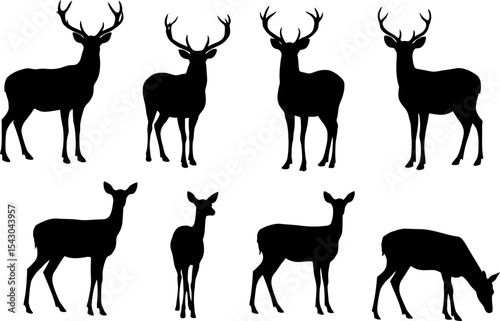Majestic Deer Silhouettes: Wild Animal & Wildlife Vectors