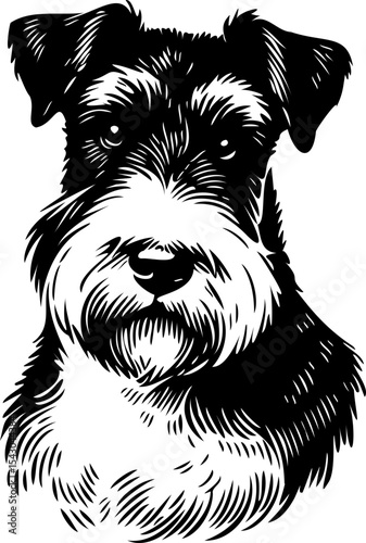 SVG file dog terrier black and white vector for printing, cutting