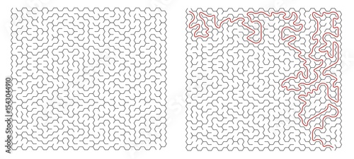 Find right way puzzle game with the solution. education logic game for kids. labyrinth maze game. simple logic game. puzzle for children