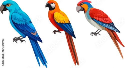 Two colorful tropical parrots, a red macaw and a blue parakeet, are isolated on a white background