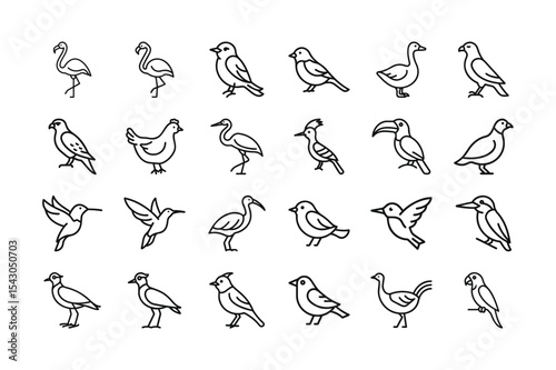 Collection of bird icons in outline style