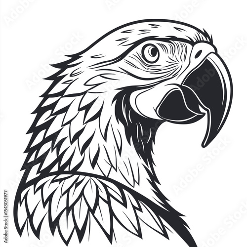 Monochrome macaw portrait features intricate line work detailing plumage and expressive eye on white