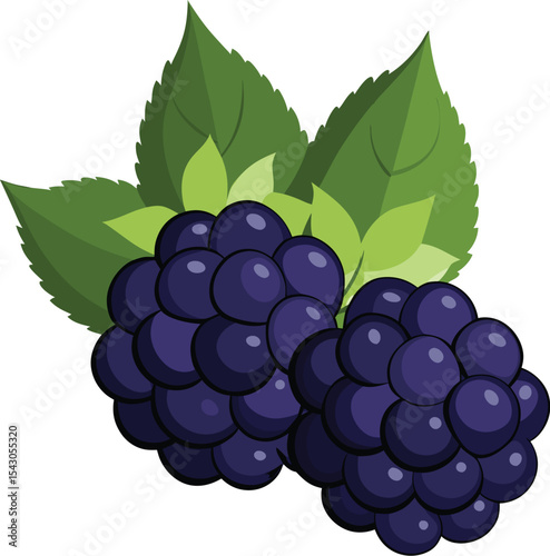 bunch of grapes isolated on white