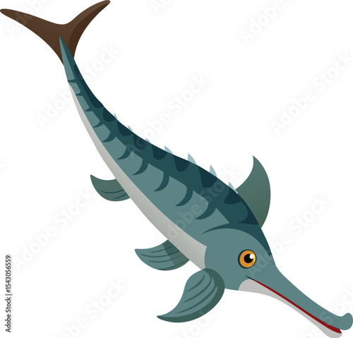 vector illustration of a shark