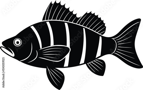 A minimalist black and white illustration of a freshwater perch fish vector