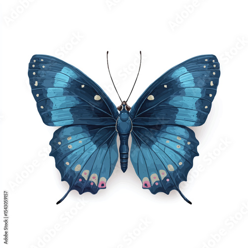 butterfly isolated in White Background, butterfly vector, Flat lay vector illustration