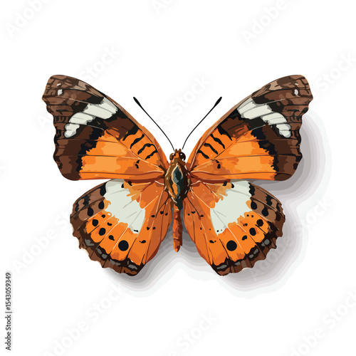 butterfly isolated in White Background, butterfly vector, Flat lay vector illustration