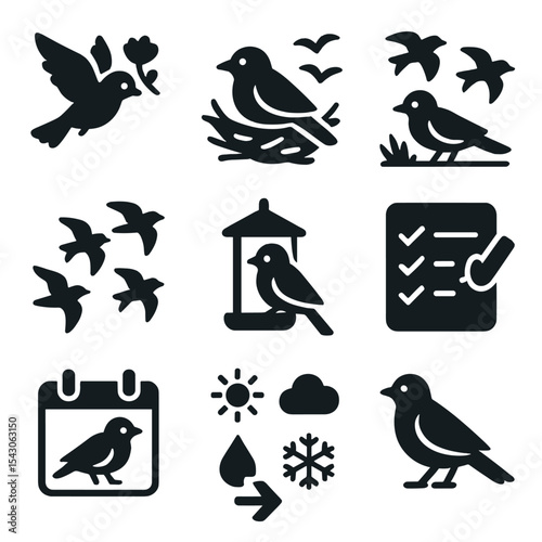 Seasonal Bird Watching Icons. Solid style icons of seasonal bird watching: spring migration, summer nesting, fall flocking, winter