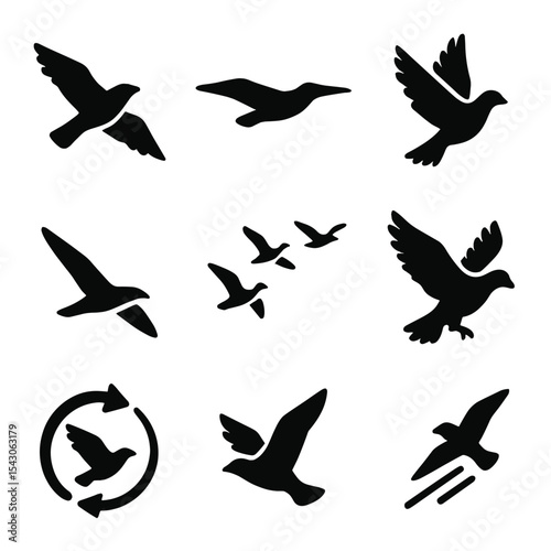 Bird Flight Patterns Icons. Solid style icons of bird flight patterns: soaring bird, gliding motion, flapping wings, diving bird,