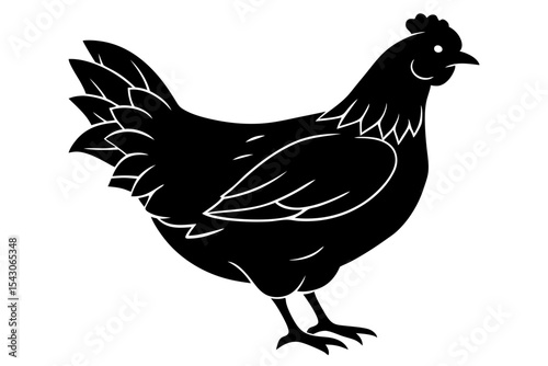 hen and rooster