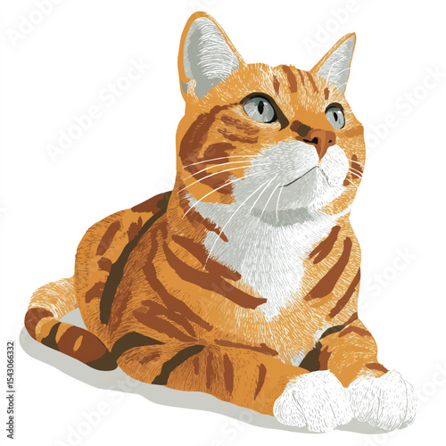 cat isolated in White Background, cat vector, Flat lay vector illustration