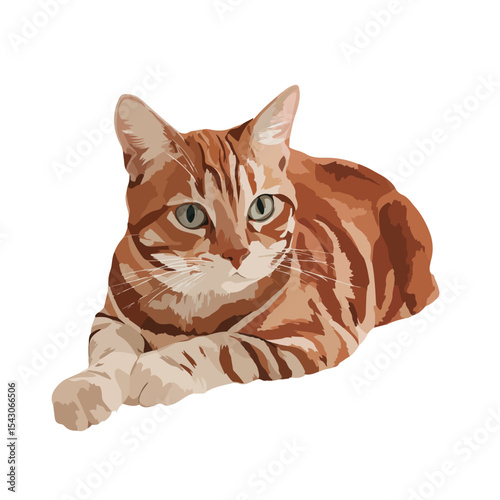 cat isolated in White Background, cat vector, Flat lay vector illustration