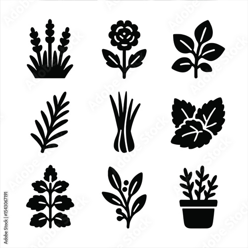 Pest Control Plants Icons. Solid style icons of pest control plants: lavender bush, marigold flower, basil plant, rosemary sprig,