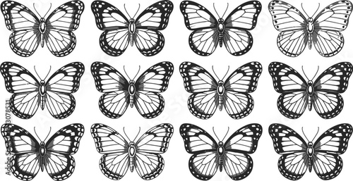 Twelve butterflies with detailed wings arranged in a grid pattern