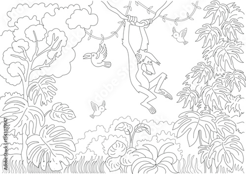 Monkey Swinging in Tropical Jungle Line Art, Black and white outline illustration of a playful monkey swinging on a vine in a dense jungle scene with birds flying among lush foliage and trees. 