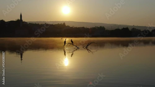 In the background, a village on a lake at sunrise, with mist rising from the lake surface, cormorants perched on branches, and pelicans swimming.