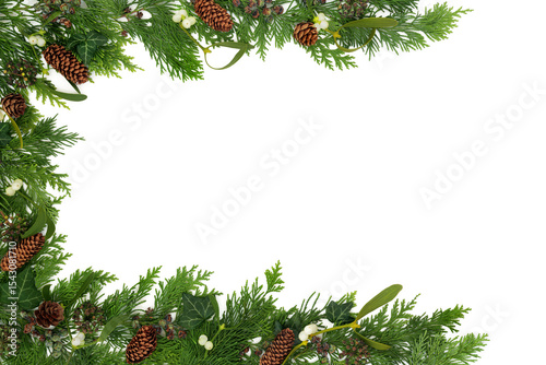 Wallpaper Mural Winter cedar leaf fir, mistletoe, ivy, pine cone, Christmas flora background frame border on white. Natural nature design for invitation, gift tag, label. Copy space. Torontodigital.ca