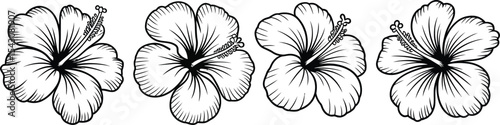 Four hibiscus flowers in a row with black outlines on white background