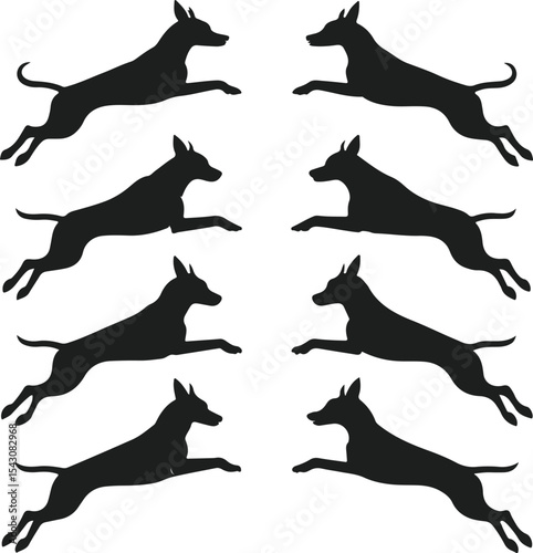 Eight Leaping Dog Silhouettes of pharaoh hounds in motion leaping dynamically