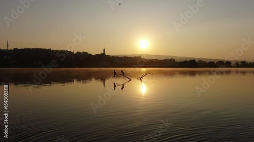 In the background, a village on a lake at sunrise, with mist rising from the lake surface, cormorants perched on branches, and pelicans swimming.