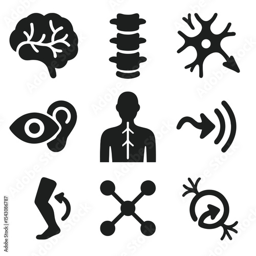 Nervous System Icons. Solid vector icons of nervous system: brain with nerve pathways, spinal cord icon, neuron structure, nerve