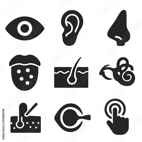 Sensory Organ Icons. Solid vector icons of sensory organs: eye anatomy icon, ear structure icon, tongue with taste buds, nose