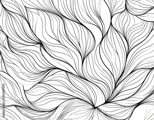 Floral Line Art
