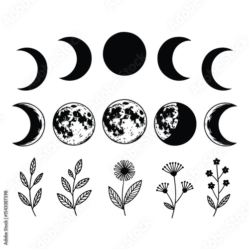 Decorative celestial and botanical elements with moon phases and floral designs