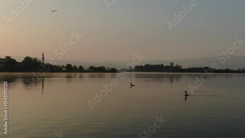 In the background, cormorants and pelicans float on a lake surrounded by trees and a village, illuminated by the light of dawn and enveloped in mist rising from the lake's surface.