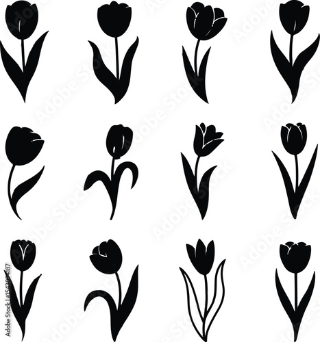 Silhouette design of a detailed landscape created in black with transparent background