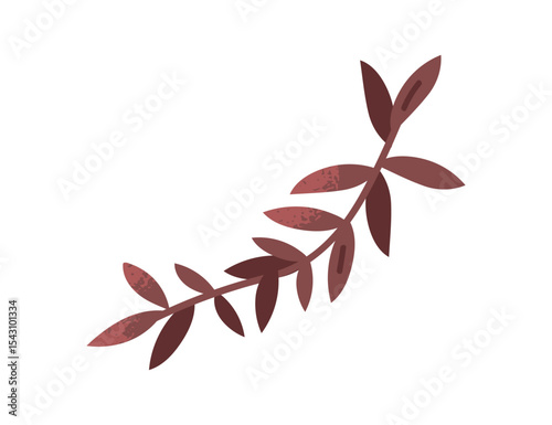 Leaf branch, foliage decoration. Curved tropical plant with leaves. Decorative botanical design element. Exotic leafy nature decor. Flat graphic vector illustration isolated on white background
