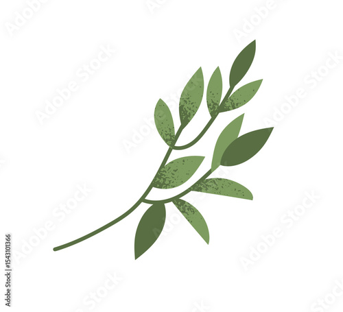 Leaf branch, foliage plant. Natural sprig, laurel leaves. Green leafy twig, fresh greenery. Botanical organic decoration, design element. Flat vector illustration isolated on white background