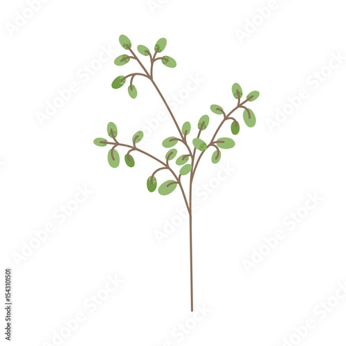 Leaf plant branch. Thin delicate sprig with tiny green leaves and subtle stem. Fragile foliage twig, decorative botanical floral element. Flat vector illustration isolated on white background