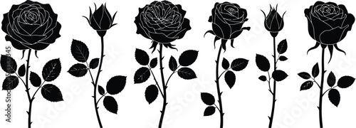 Isolated black rose silhouettes with stems and leaves on white background