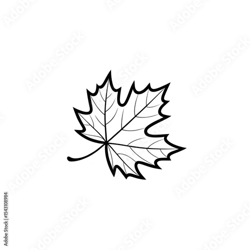 Detailed outline of a maple leaf showcasing intricate vein patterns and natural shape design