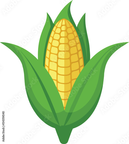 vector illustration of baby corn 