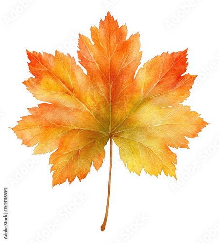 Autumn Leaf Image