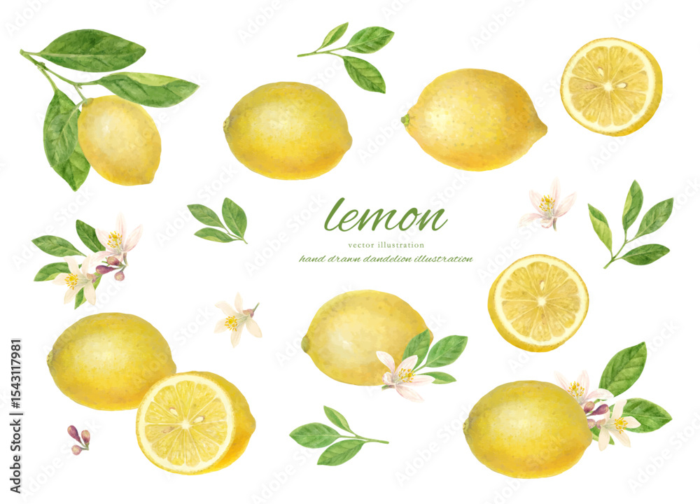 lemon.ai