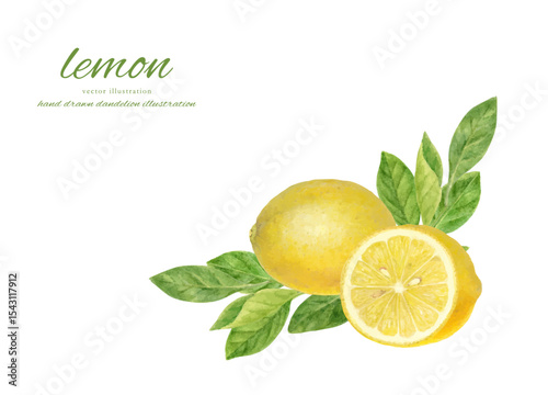 lemon.ai