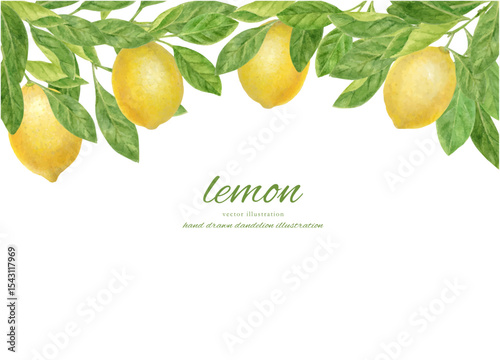 lemon.ai