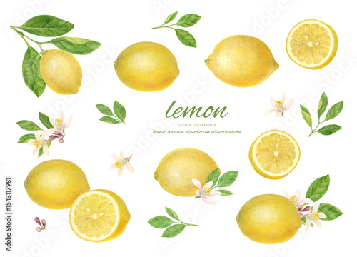 lemon.ai