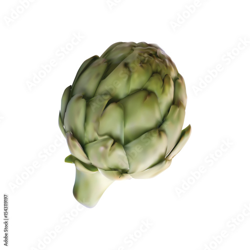 artichoke illustration on white backgorund vol 01