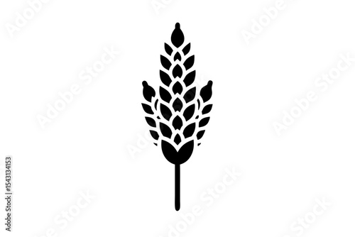 Quinoa icon vector silhouette illustration isolated on white background