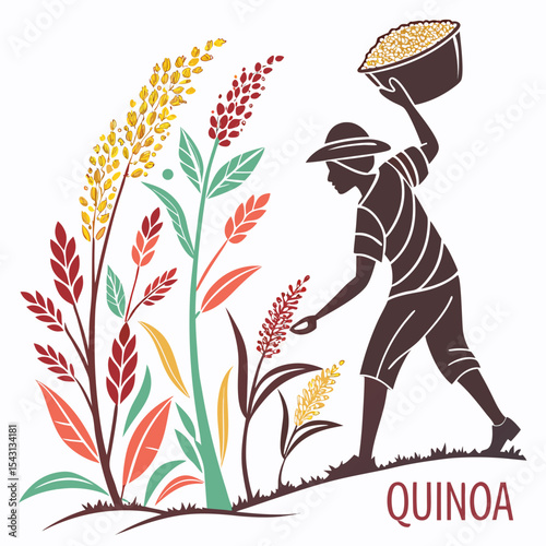 Quinoa vector silhouette illustration isolated on white background