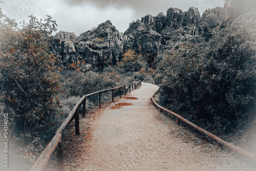 a dirt wet path at Cerro del Hierro Natural Monument at Sierra Norte natural park, province of Seville, Andalusia, Spain