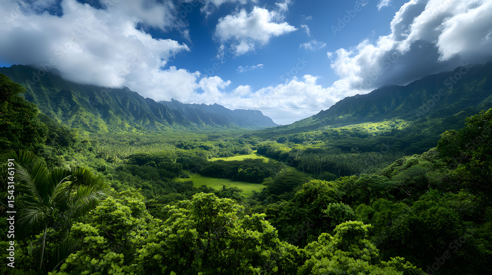 Fototapeta premium A lush green valley covered with tropical blossoms under a blue sky.