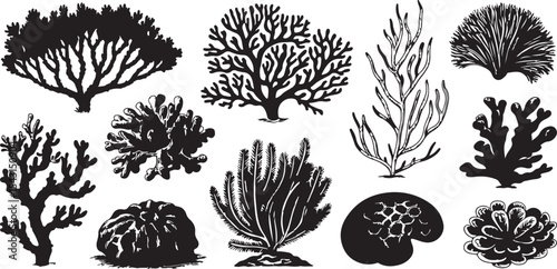 Ocean Coral and Algae Silhouette Collection – Marine Botanical Vector Pack
