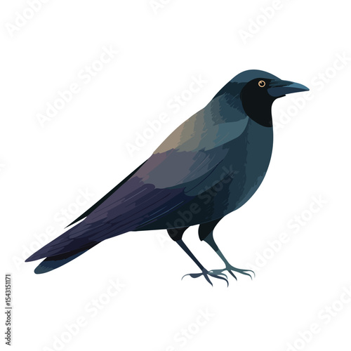 crow isolated in White Background, crow vector, Flat lay vector illustration